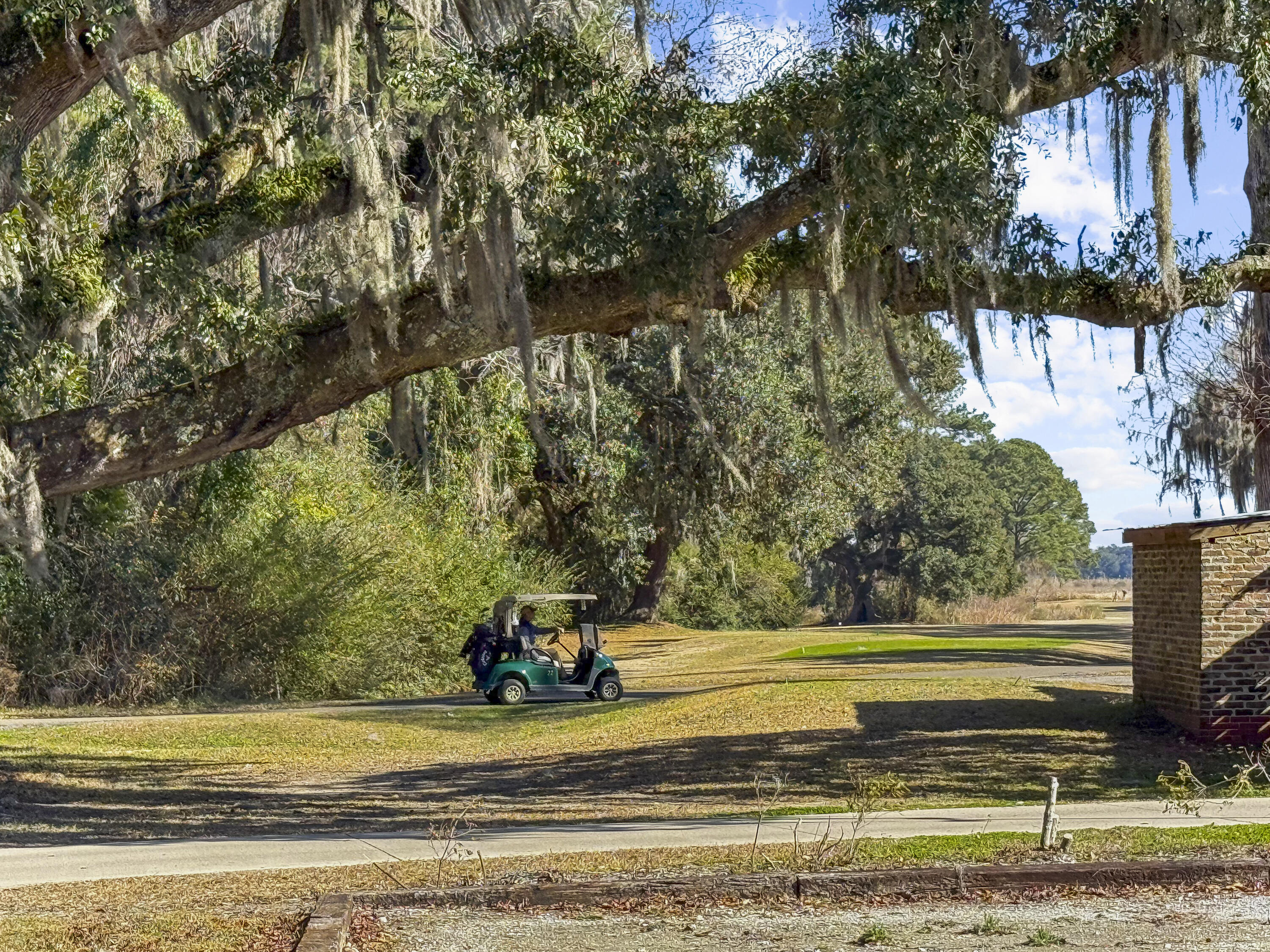 2551 Wedgefield Georgetown, SC 29440 - Photo 28 of 28 IMG_9094