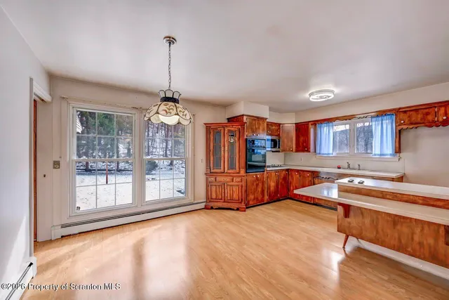a view of a backyard with large trees