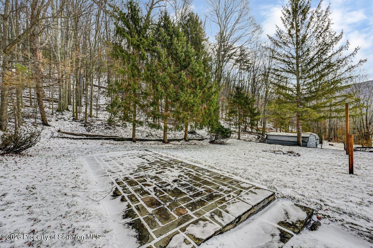148 Green Grove Road Scott Township, PA 18447 - Photo 62 of 67 a view of a backyard with large trees