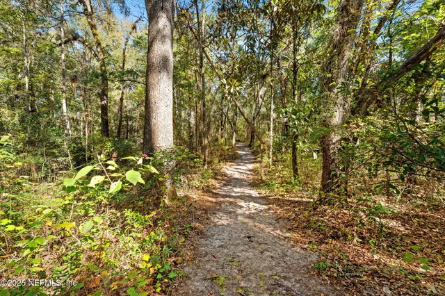 a view of a yard with plants and trees