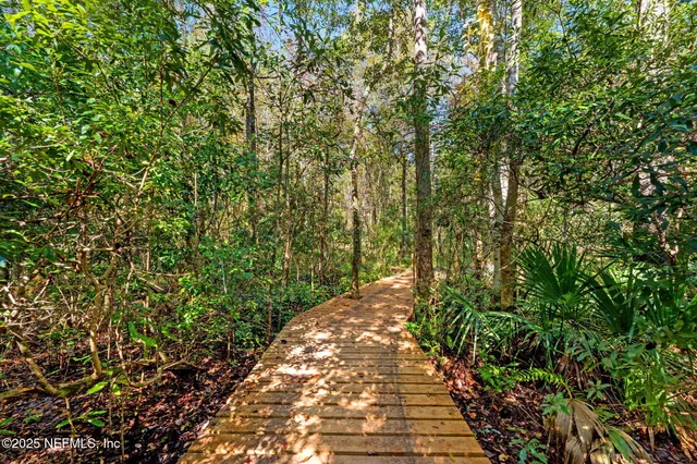 a view of a pathway both side of yard