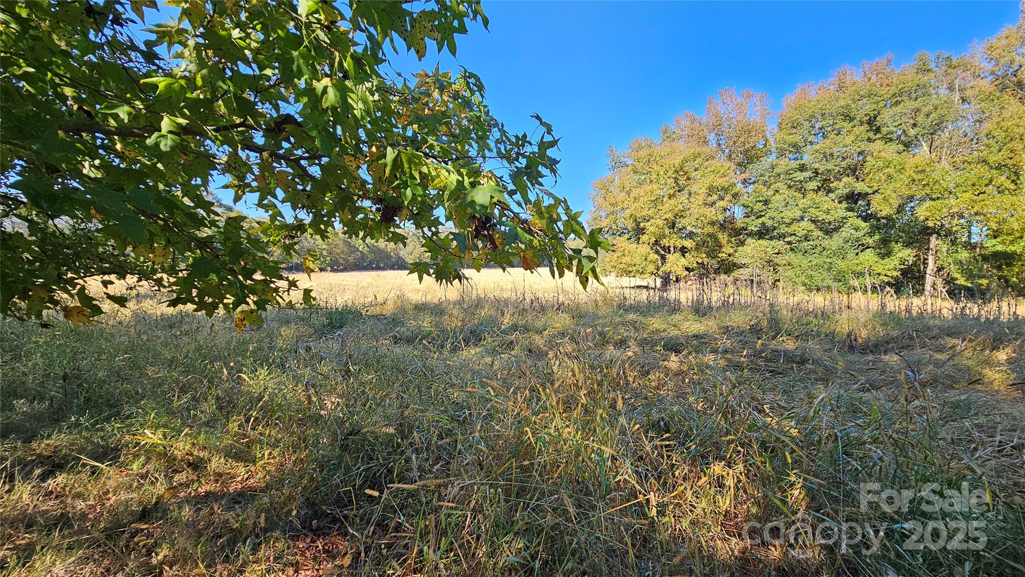 10130 Reed Mine Road Midland, NC 28107 - Photo 1 of 29