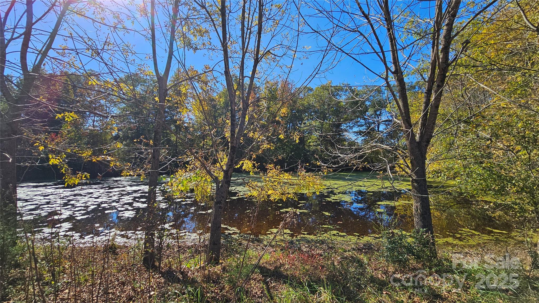 10130 Reed Mine Road Midland, NC 28107 - Photo 11 of 29