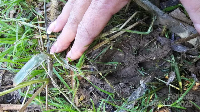 $2,500,000 | 10130 Reed Mine Road, Midland, NC 28107