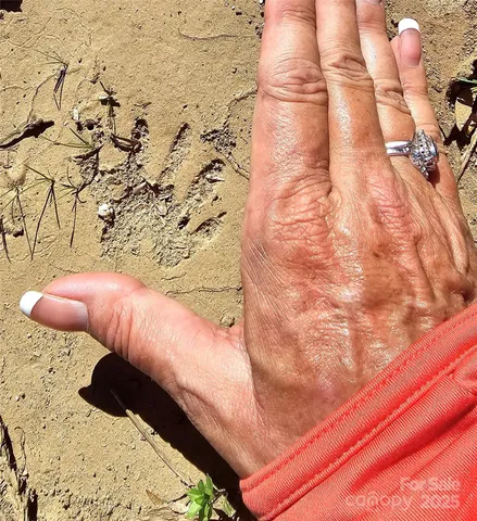 $2,500,000 | 10130 Reed Mine Road, Midland, NC 28107