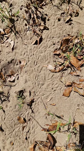 $2,500,000 | 10130 Reed Mine Road, Midland, NC 28107