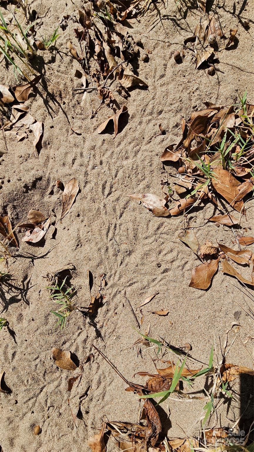 10130 Reed Mine Road Midland, NC 28107 - Photo 18 of 29