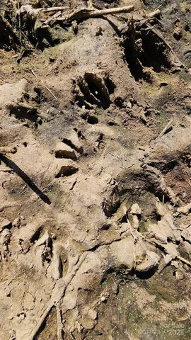 $2,500,000 | 10130 Reed Mine Road, Midland, NC 28107