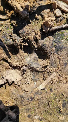 $2,500,000 | 10130 Reed Mine Road, Midland, NC 28107