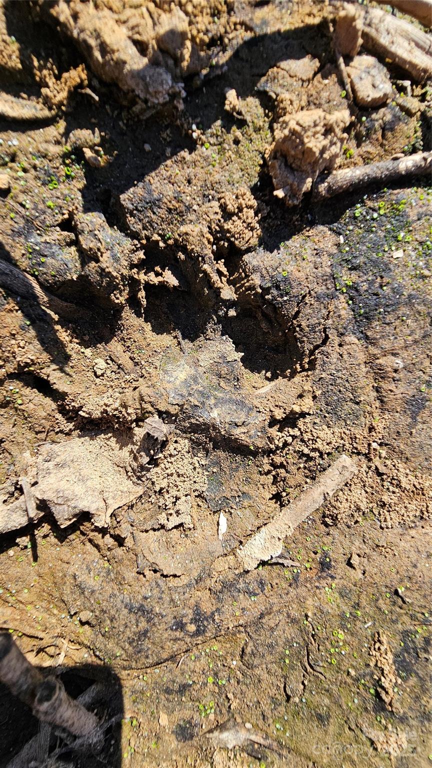 10130 Reed Mine Road Midland, NC 28107 - Photo 20 of 29