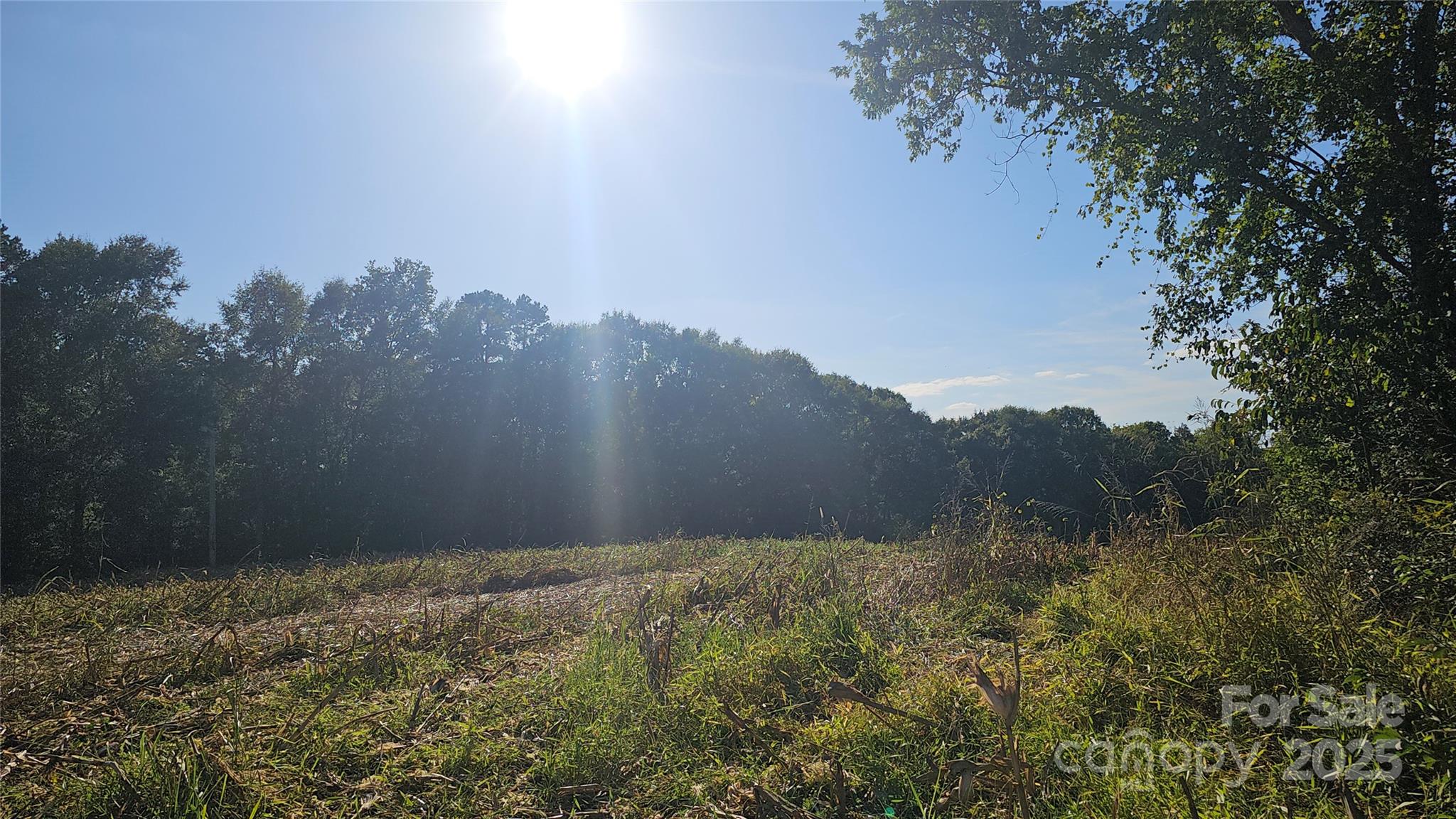10130 Reed Mine Road Midland, NC 28107 - Photo 2 of 29