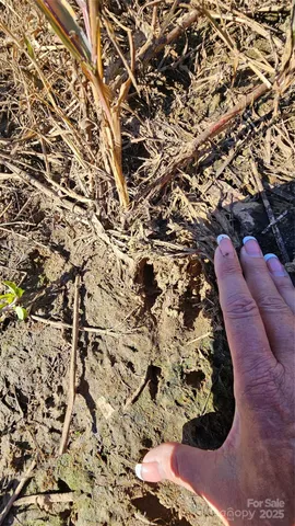 $2,500,000 | 10130 Reed Mine Road, Midland, NC 28107