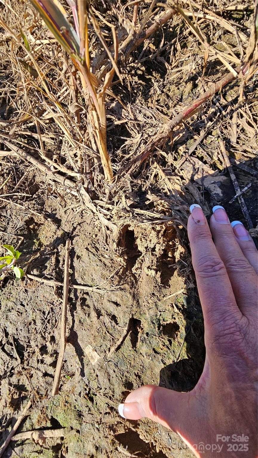 10130 Reed Mine Road Midland, NC 28107 - Photo 21 of 29