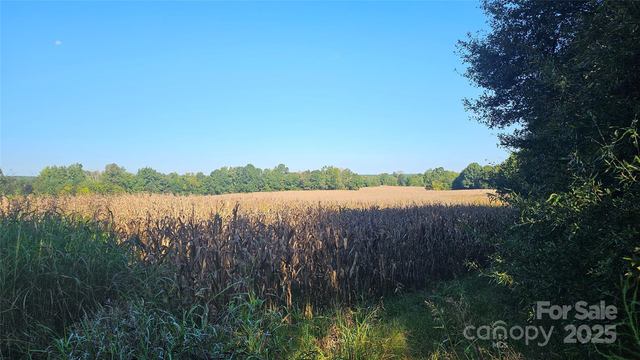 10130 Reed Mine Road Midland, NC 28107 - Photo 23 of 29
