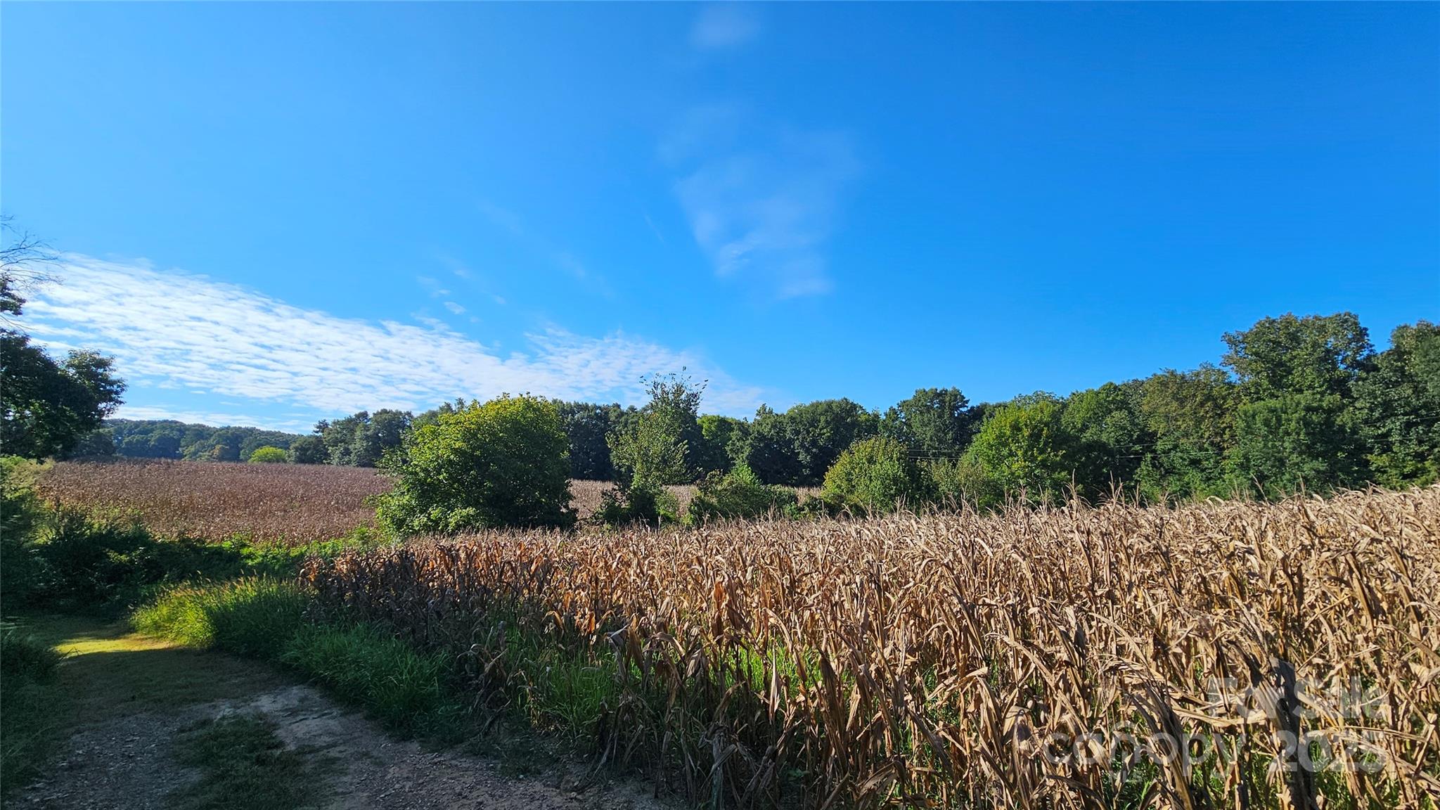 10130 Reed Mine Road Midland, NC 28107 - Photo 24 of 29