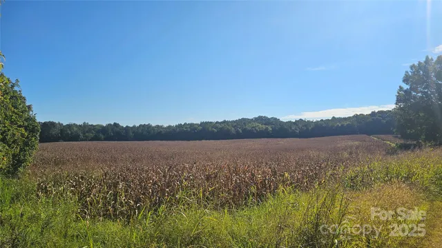 $2,500,000 | 10130 Reed Mine Road, Midland, NC 28107