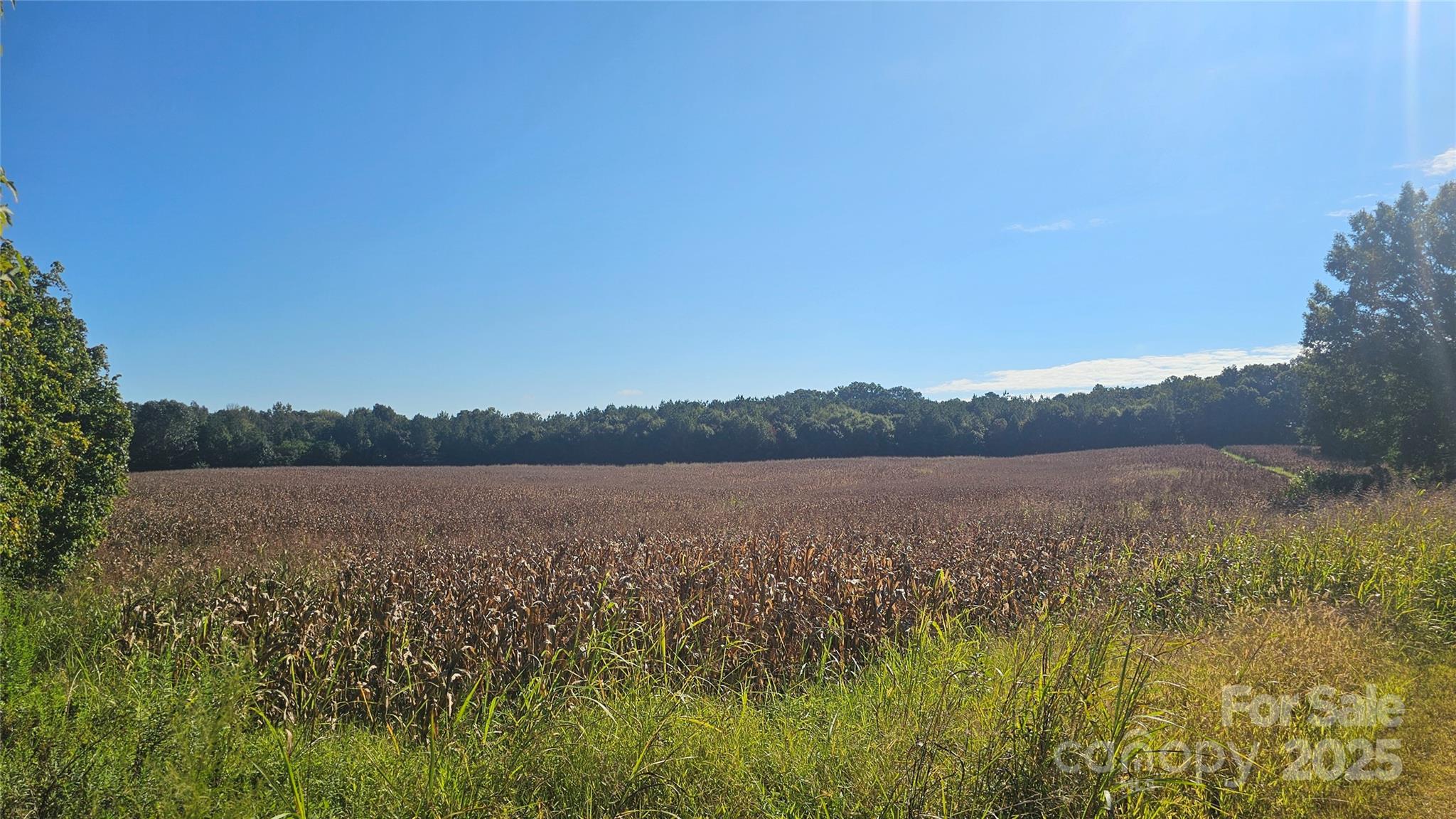 10130 Reed Mine Road Midland, NC 28107 - Photo 25 of 29