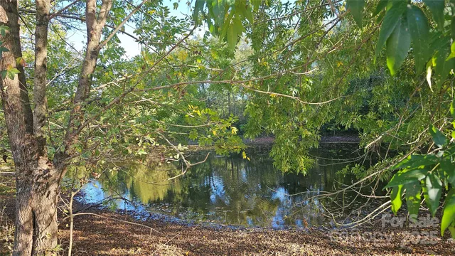 $2,500,000 | 10130 Reed Mine Road, Midland, NC 28107