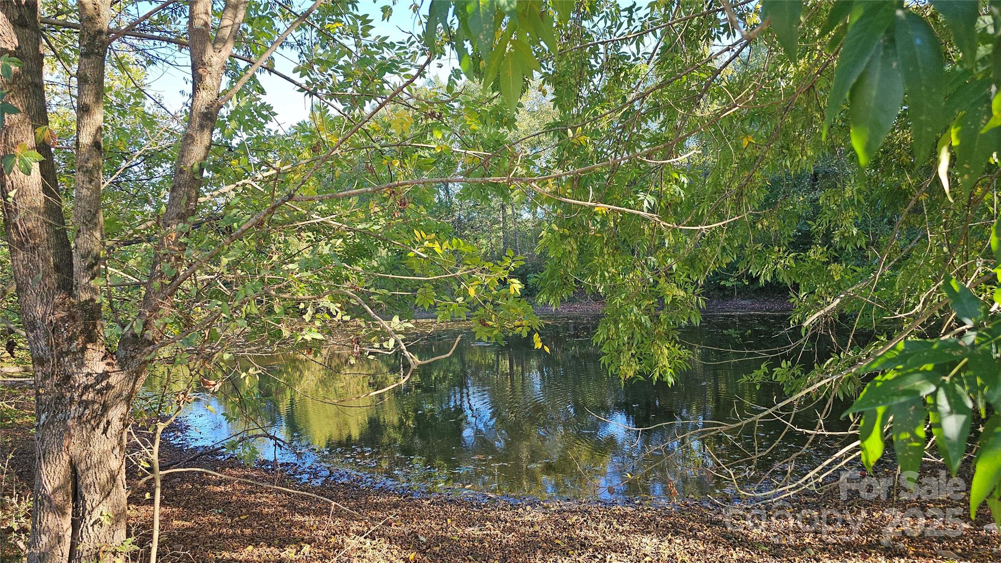 10130 Reed Mine Road Midland, NC 28107 - Photo 27 of 29