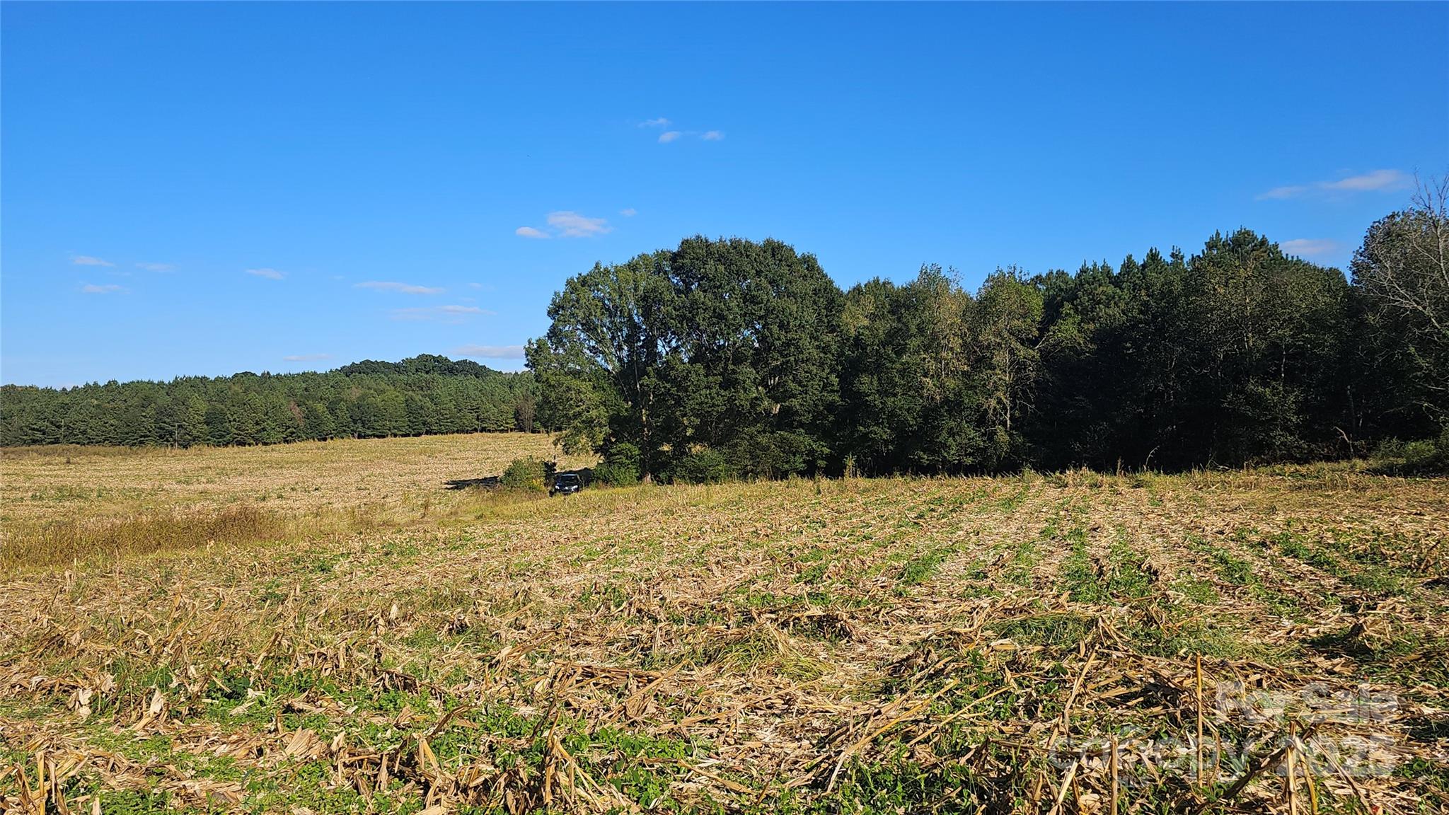 10130 Reed Mine Road Midland, NC 28107 - Photo 29 of 29
