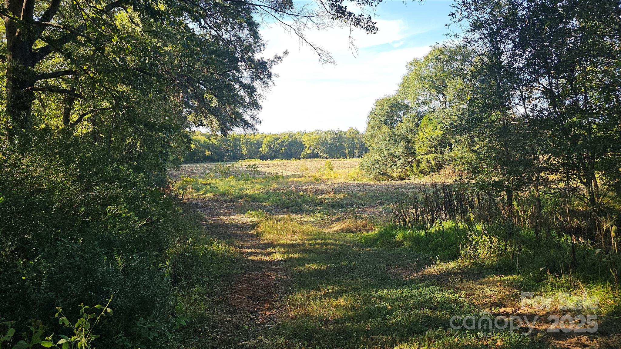 10130 Reed Mine Road Midland, NC 28107 - Photo 5 of 29