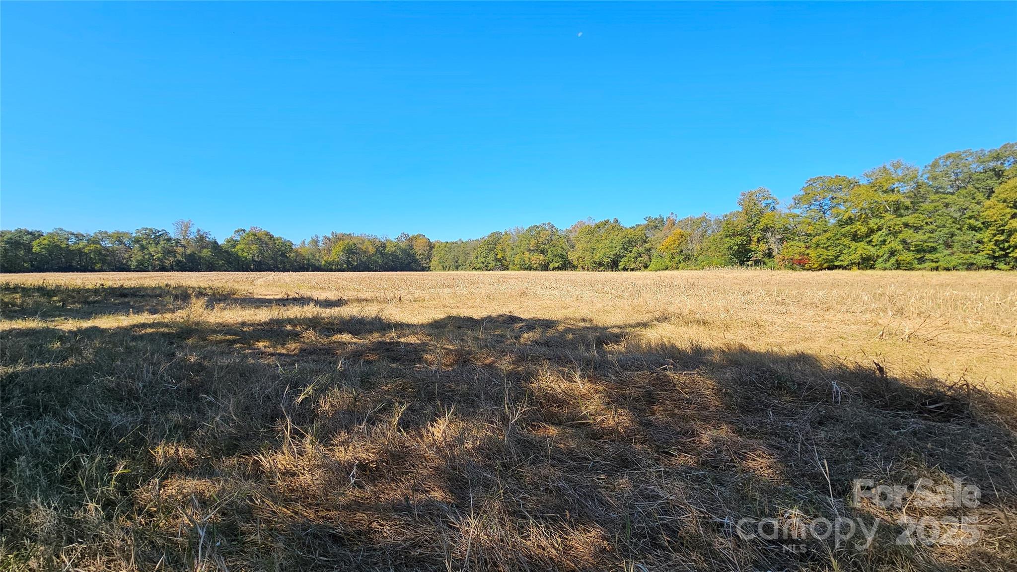 10130 Reed Mine Road Midland, NC 28107 - Photo 6 of 29