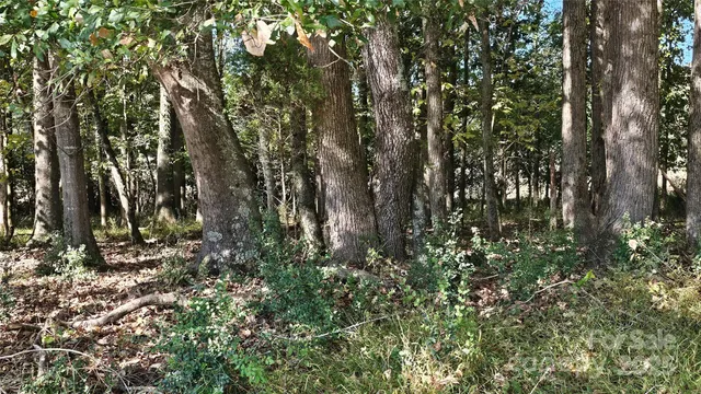 $2,500,000 | 10130 Reed Mine Road, Midland, NC 28107