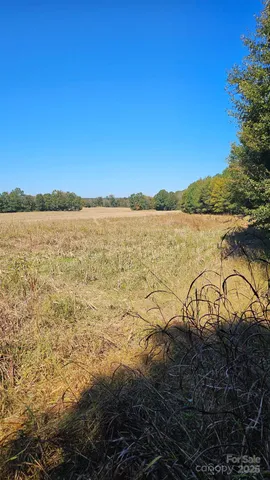 $2,500,000 | 10130 Reed Mine Road, Midland, NC 28107