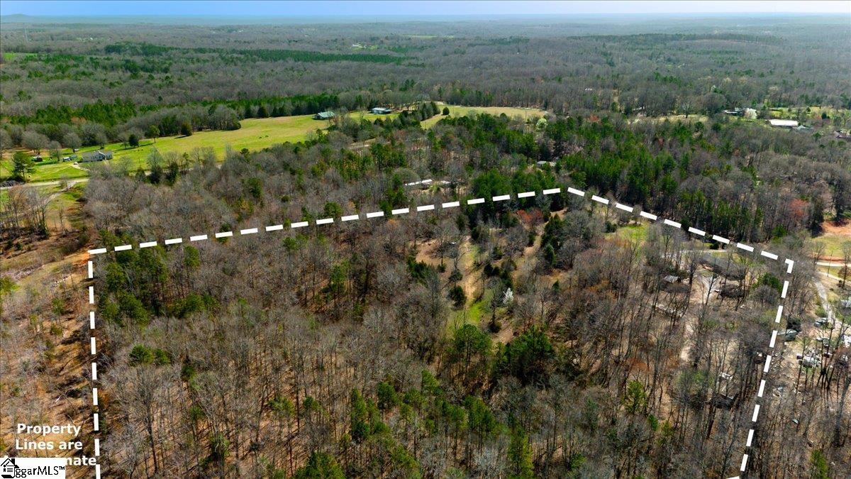 198 Wildwood Farms Road Gray Court, SC 29645 - Photo 29 of 36