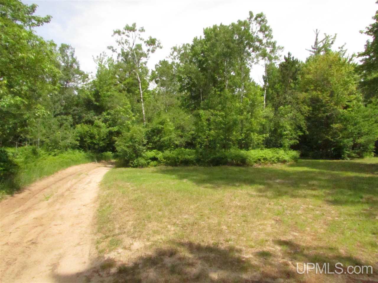 N12426 Driggs River Road Seney, MI 49883 - Photo 10 of 74 Gallery Image 10