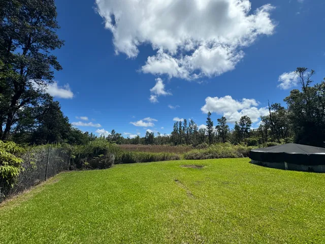 a view of a big yard with a large tree