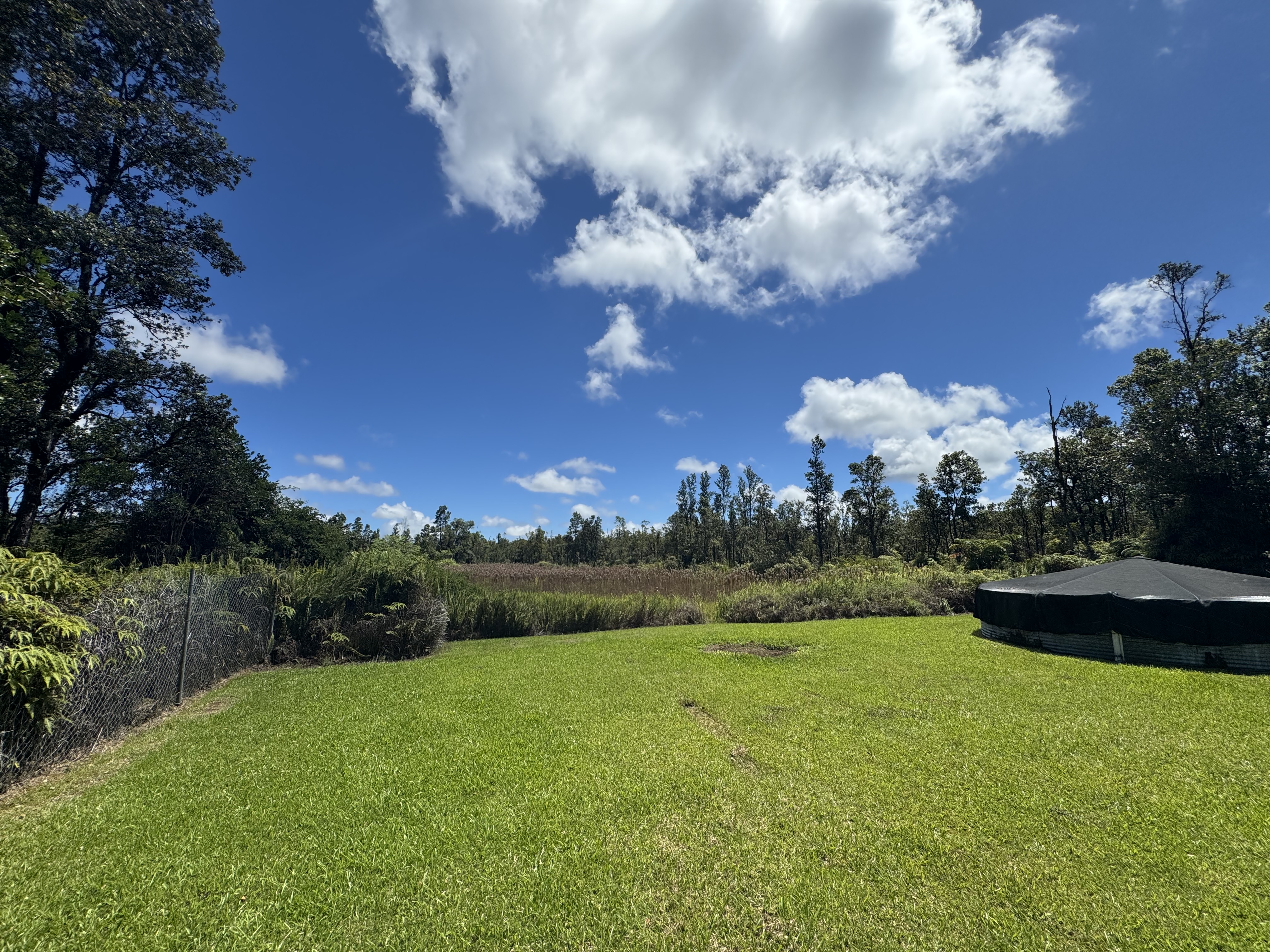 11-3132 Hibiscus Street Mountain View, HI 96771 - Photo 22 of 27 a view of a big yard with a large tree