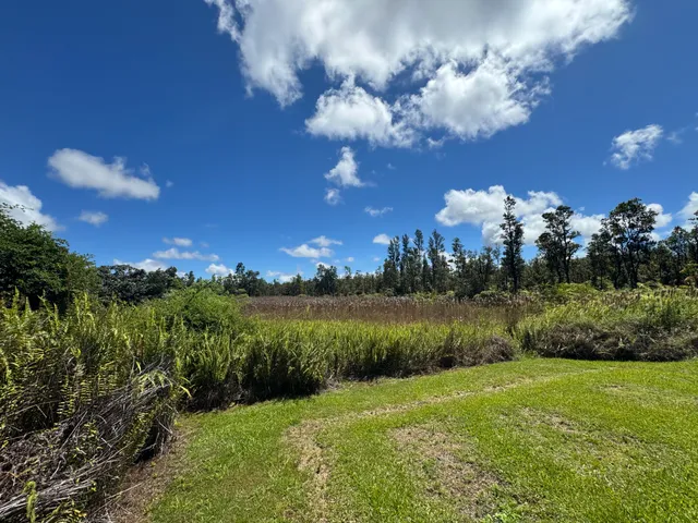 a view of a lake and green space