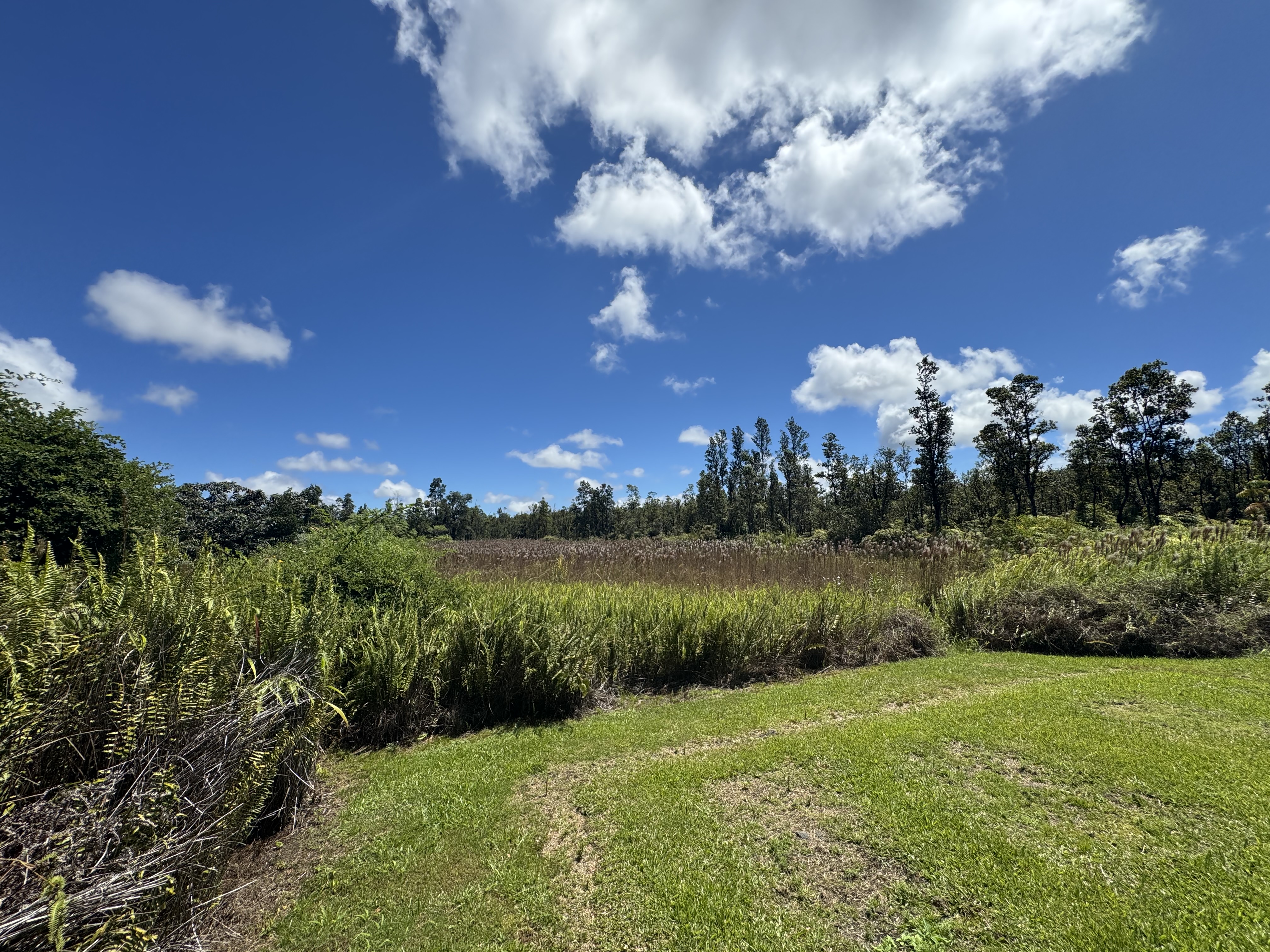 11-3132 Hibiscus Street Mountain View, HI 96771 - Photo 23 of 27 a view of a lake and green space