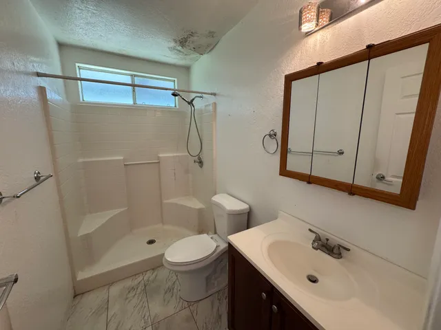 a bathroom with a sink a toilet and shower