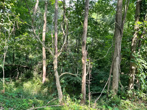 $29,900 | Vacant Land Vacant Land Heritage Lane Rd Haven, Valparaiso, IN 46385