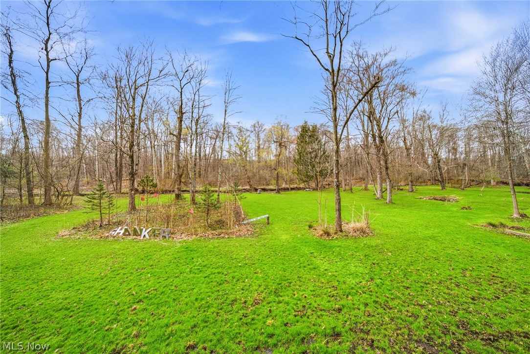 13610 Sperry Road Novelty, OH 44072 - Photo 33 of 42