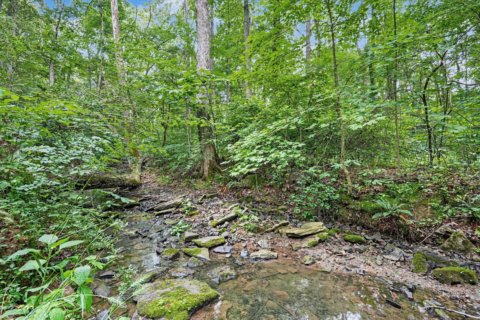 5833 Highway 76 East Springfield, TN 37172 - Photo 50 of 66