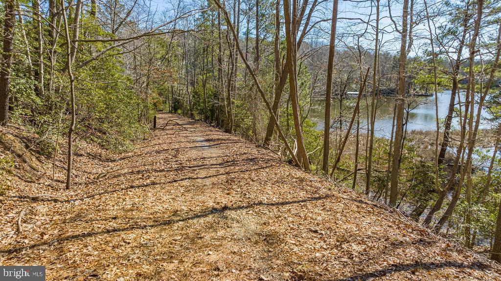 12770 Soundings Road Lusby, MD 20657 - Photo 6 of 21 Driveway on property from Wheel Way to waters edge