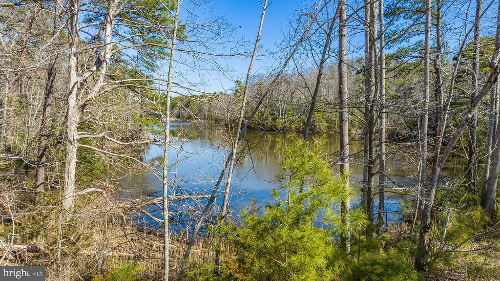 12770 Soundings Road Lusby, MD 20657 - Photo 7 of 21 View from driveway into pond
