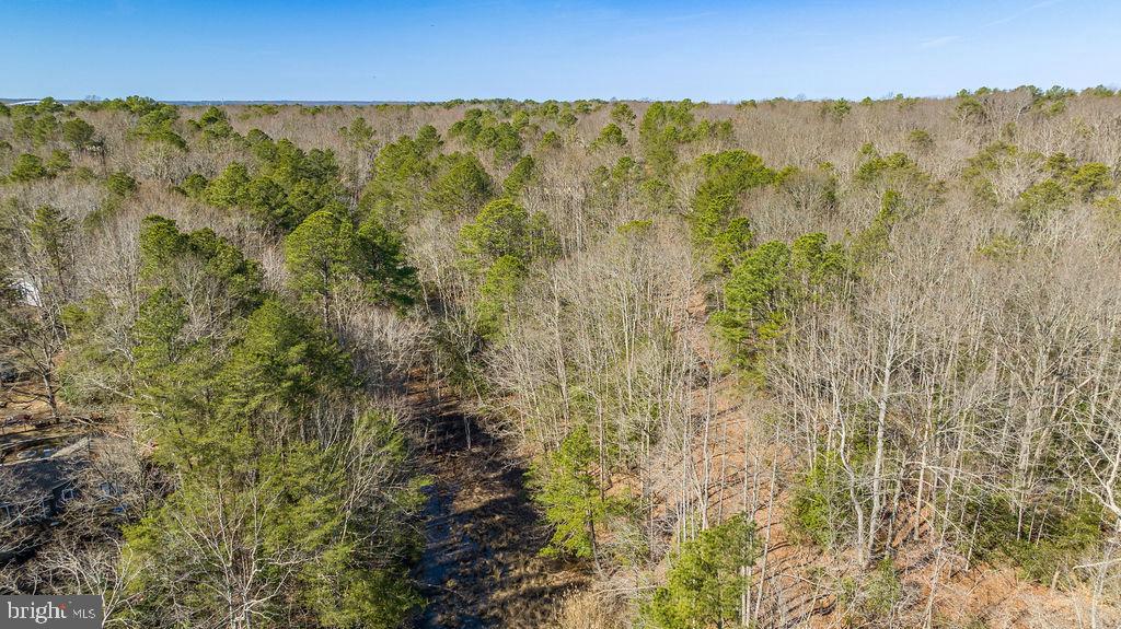 12770 Soundings Road Lusby, MD 20657 - Photo 9 of 21 west view