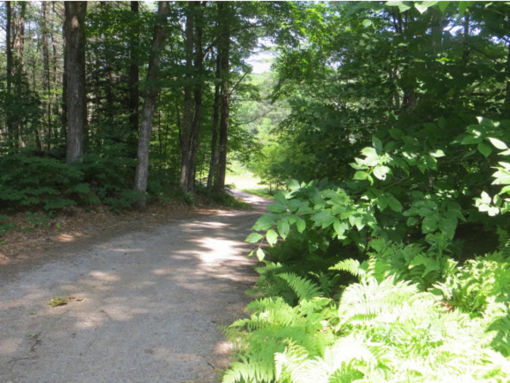 62 Sanborn Road New Hampton, NH 03256 - Photo 28 of 36