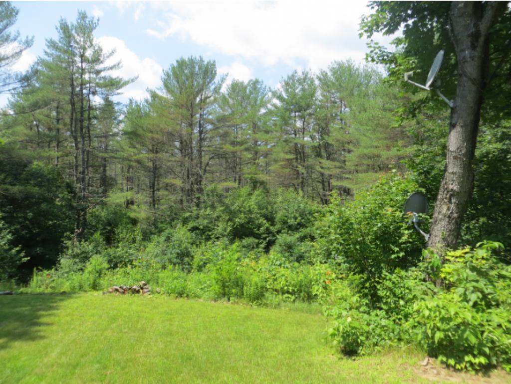 62 Sanborn Road New Hampton, NH 03256 - Photo 33 of 36