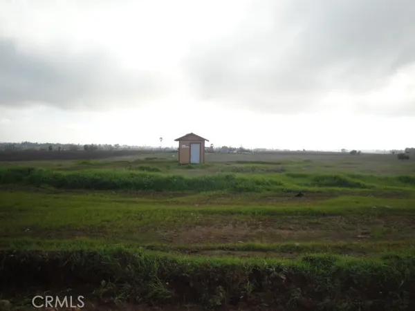 a view of a field with an trees