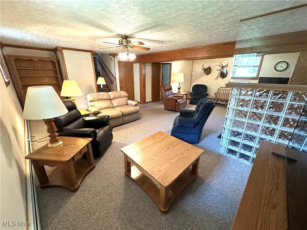 1684 Morris Street Mineral Ridge, OH 44440 - Photo 43 of 50 Carpeted living room featuring a textured ceiling and ceiling fan