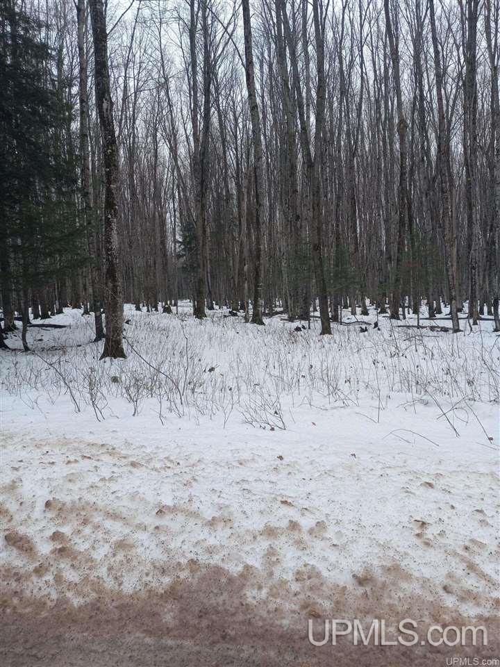 Tbd Tbd Co Road Big Bay, MI 49808 - Photo 2 of 2