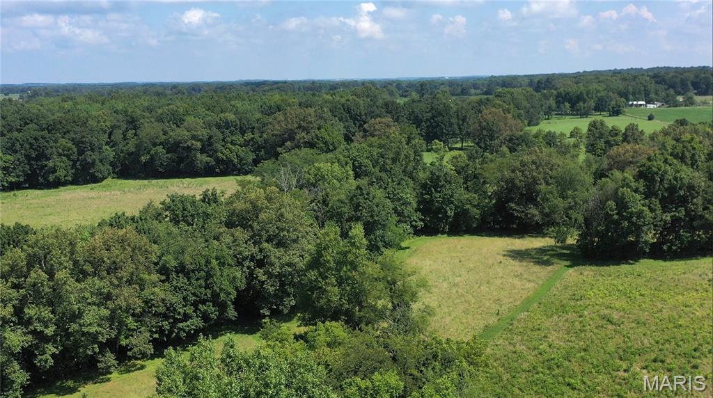 23036 Carlyle Road Thompsonville, IL 62890 - Photo 60 of 99