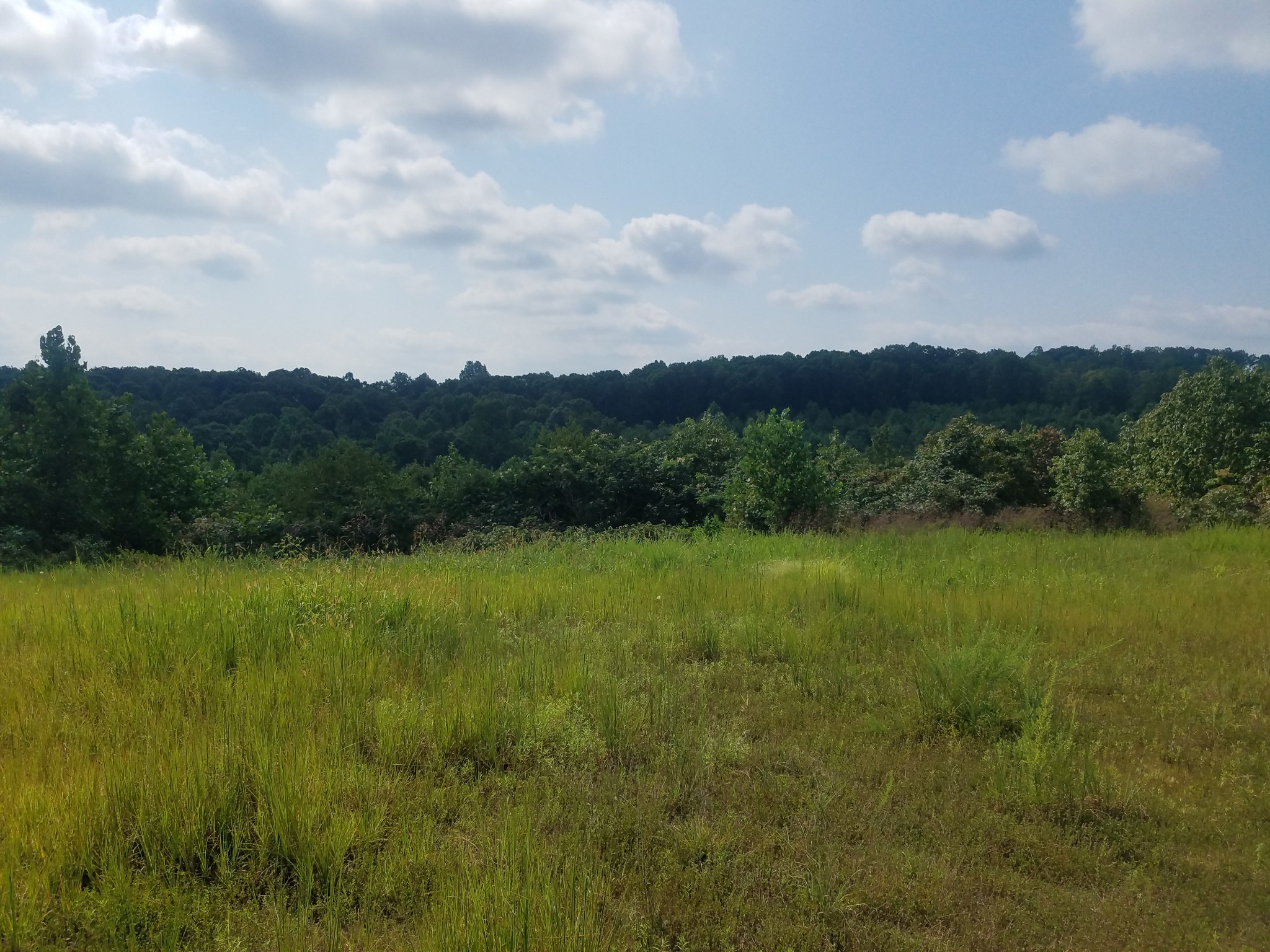 0 Keel Hollow Road Dover, TN 37058 - Photo 11 of 16 Gallery Image 11