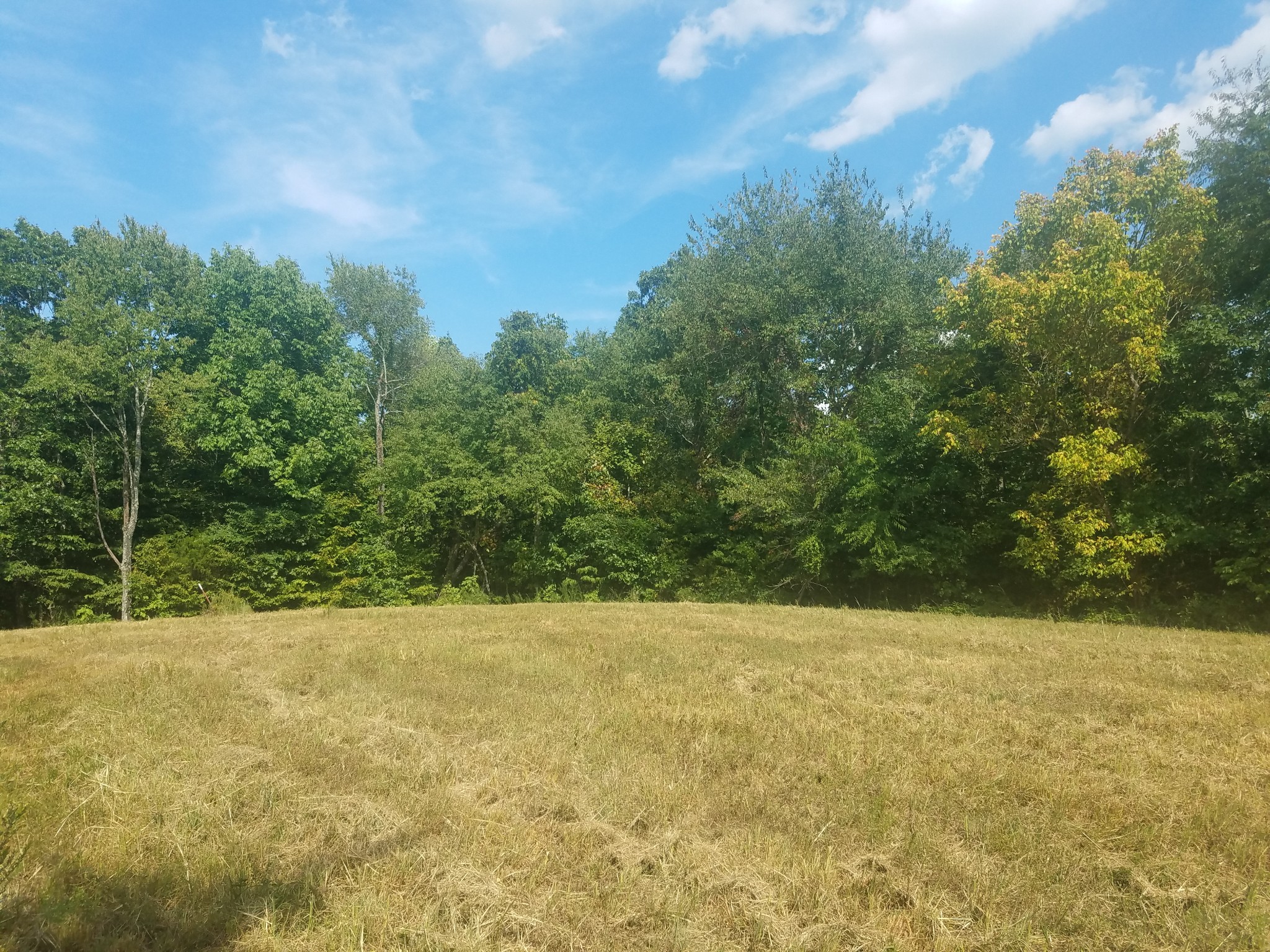0 Keel Hollow Road Dover, TN 37058 - Photo 12 of 16 Gallery Image 12