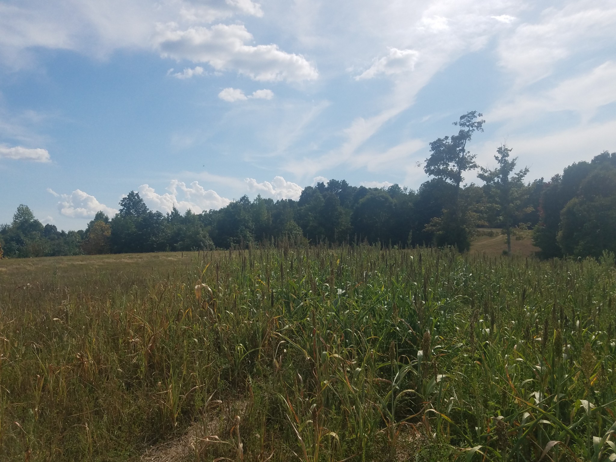 0 Keel Hollow Road Dover, TN 37058 - Photo 13 of 16 Gallery Image 13